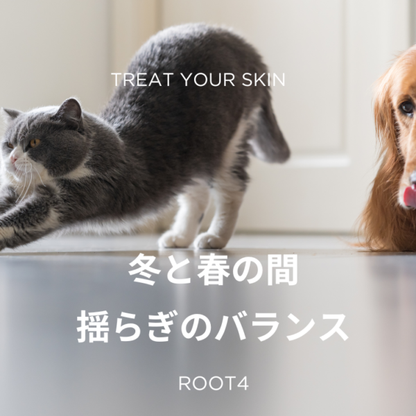 冬と肌の間　揺らぎのバランス